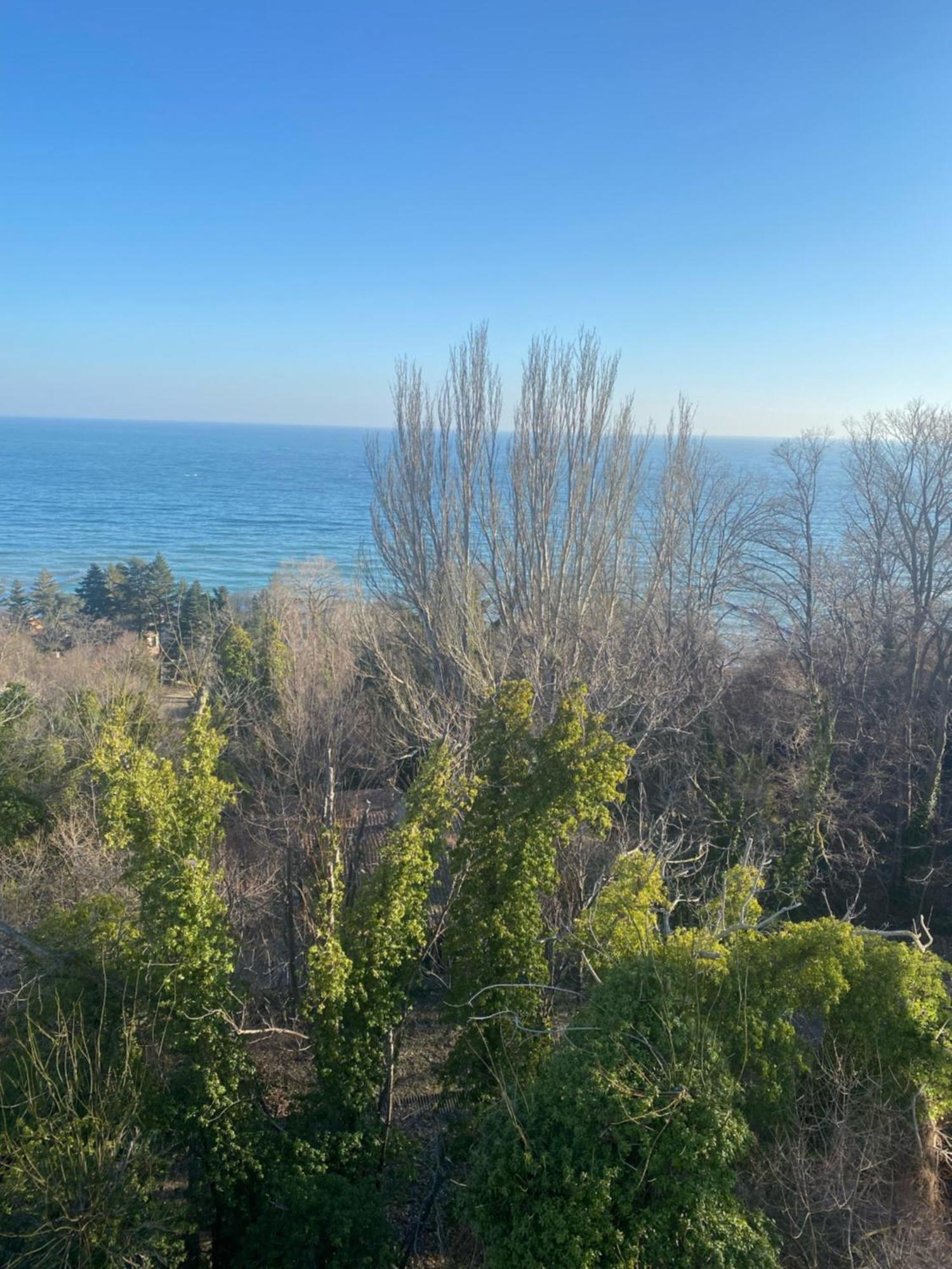 Queen'S Palace Balchik Apartment Bagian luar foto